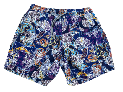 RENKLİ DESENLİ ERKEK YÜZÜCÜ ŞORT MAYO, BOARD SHORT